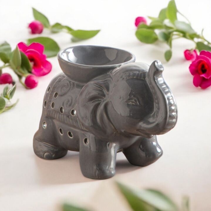 Brule Parfum Elephant Tandor Gris