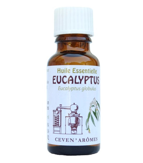 Eucalyptus Globulus Huile Essentielle HEBBD 20ml